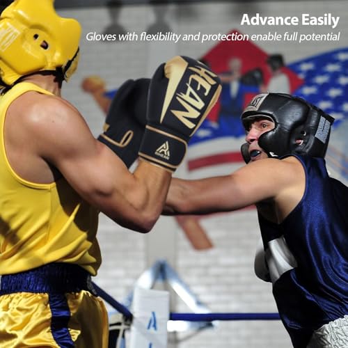 Boxing Training Gloves 10-16oz B625