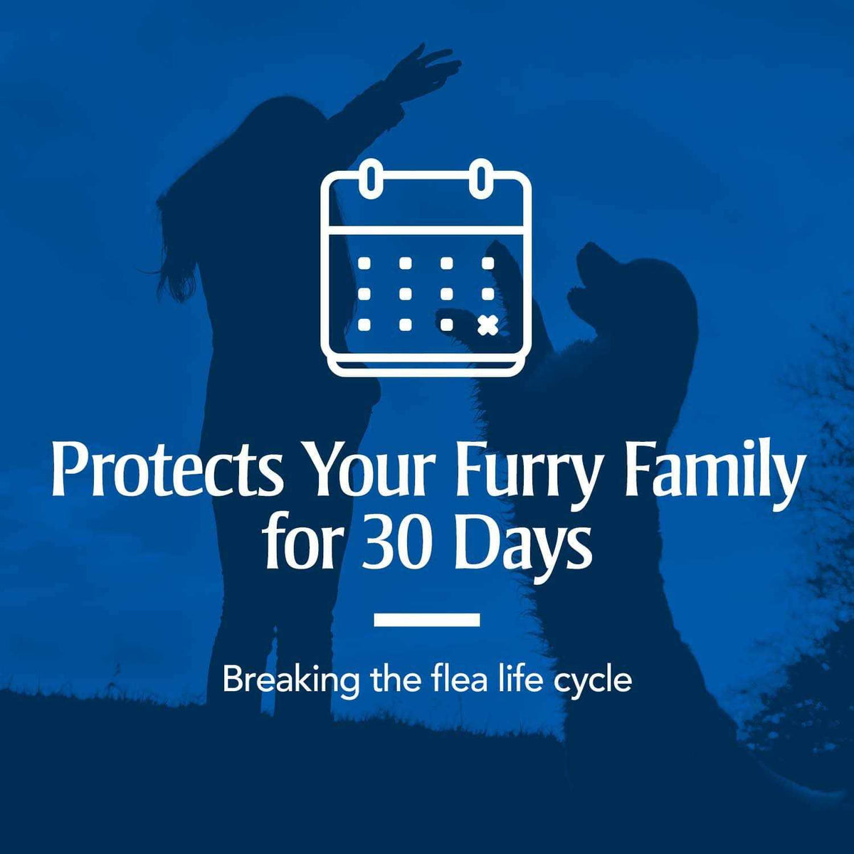 Flea & Tick Spot Treatment for Dogs Y693