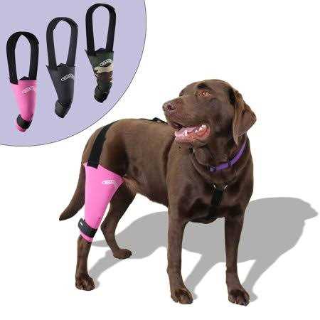Dog & Cat Knee Brace C2291