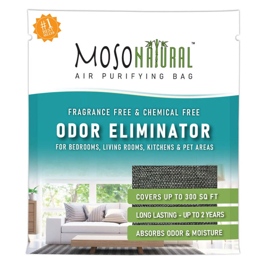 600g Unscented Charcoal Odor Absorber Q503