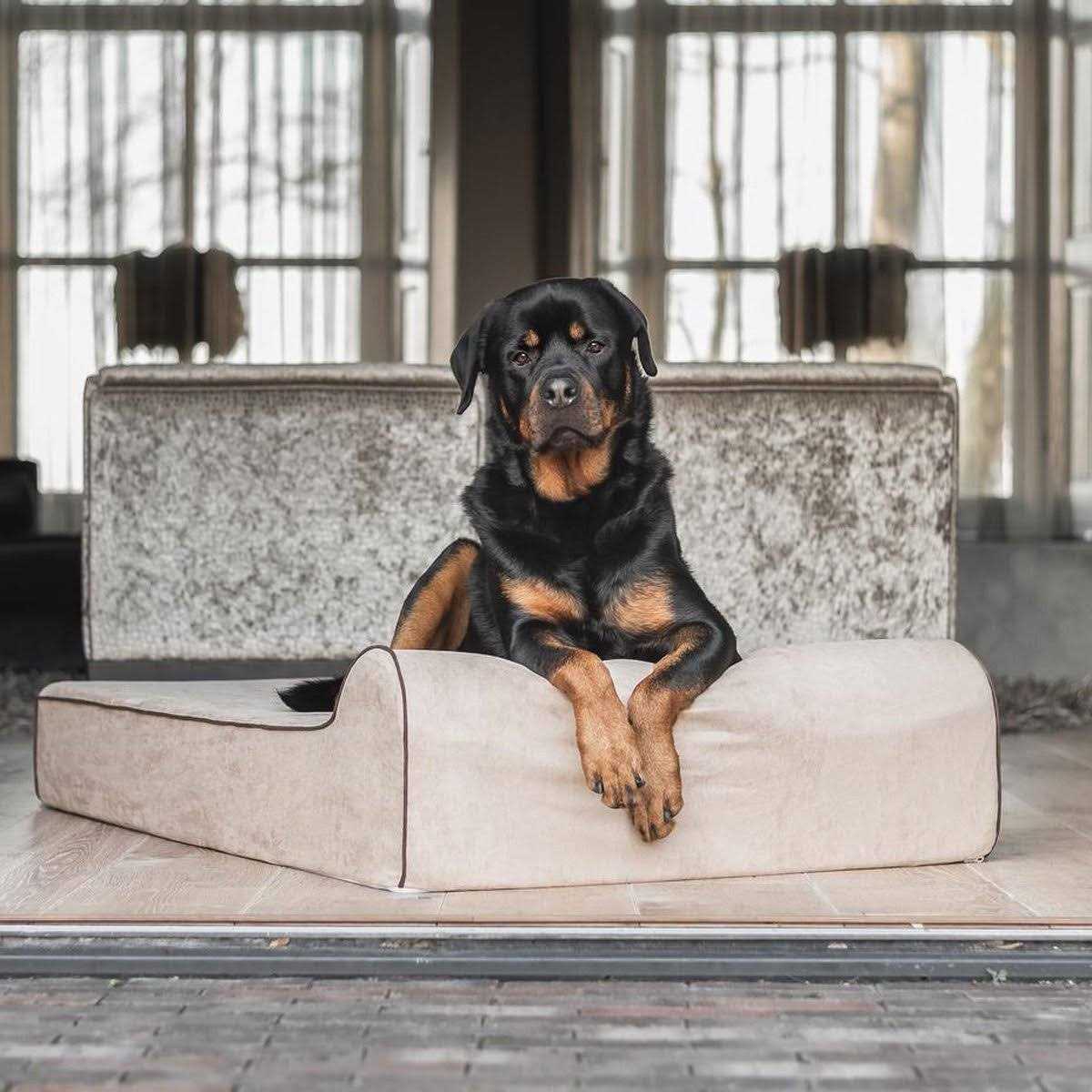 Waterproof Orthopedic Dog Bed S490