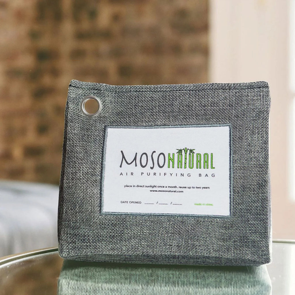 600g Unscented Charcoal Odor Absorber Q503