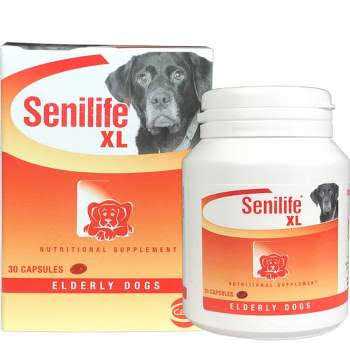 Nutritional Supplement for Elderly Dogs S507