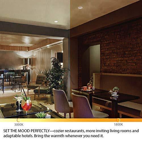 Warm Dim 3.5 inch LED Round Adjustable Recessed Trim L372