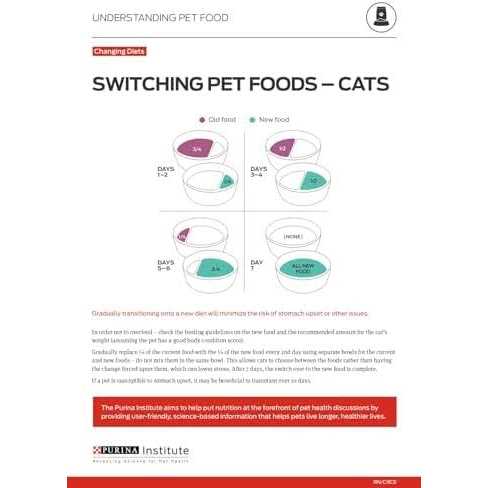 Chicken & Salmon Pate Wet Cat Food O101