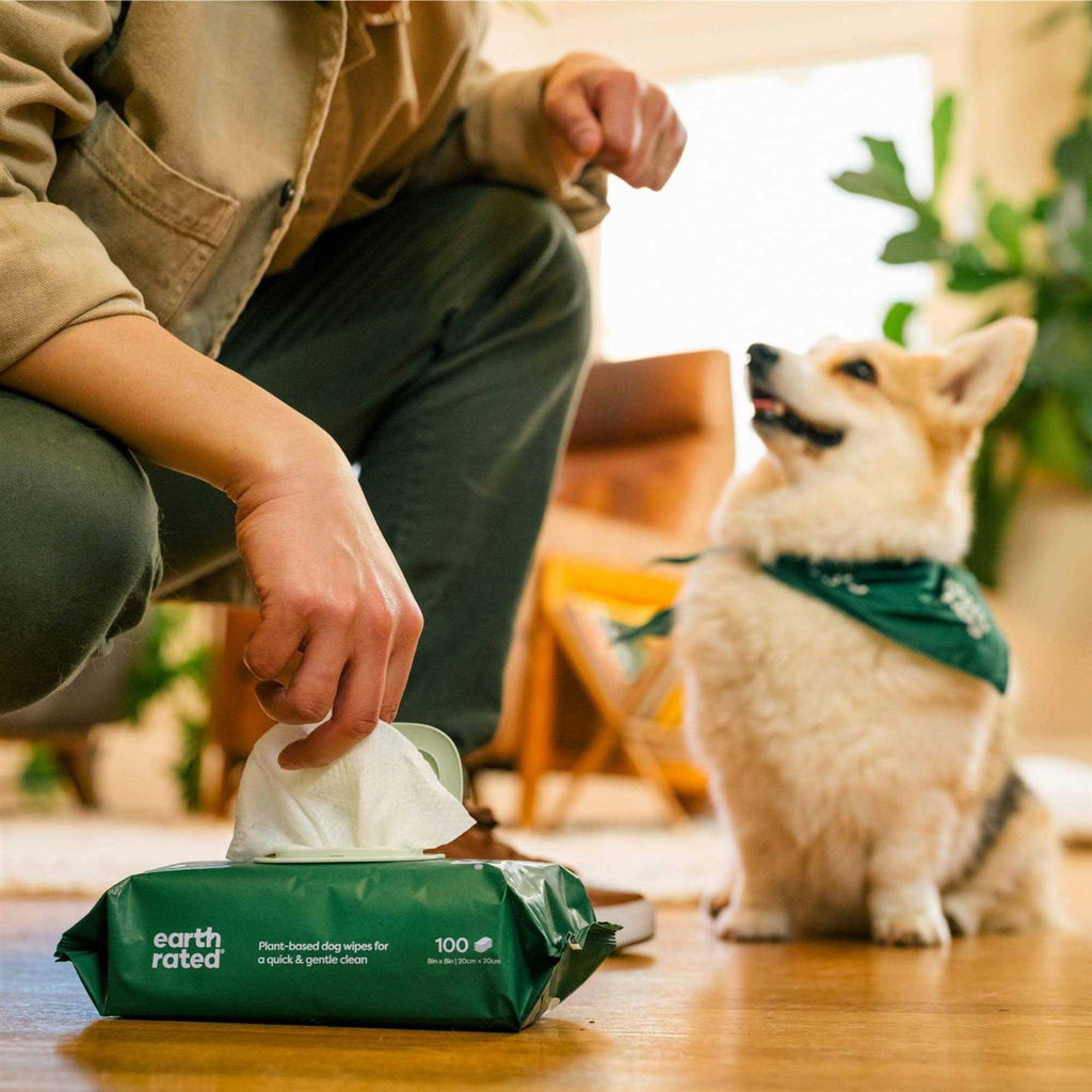 Dog Wipes V19938
