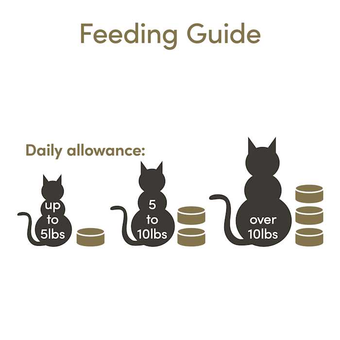 Cat Wet Food in Broth Variety Pack T9389