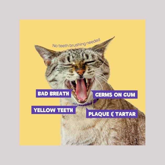 Dental Finger Wipes for Cats & Dogs 50 pc N405113