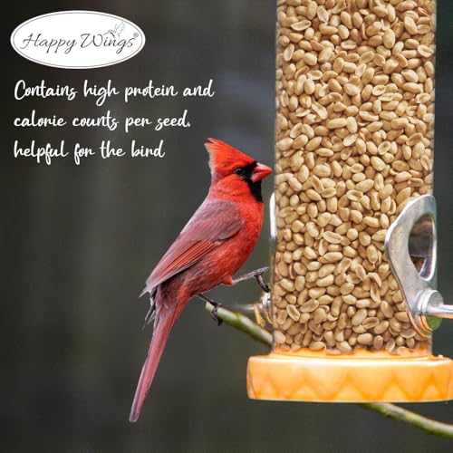Peanuts Wild Bird Food 5 Pounds O7590