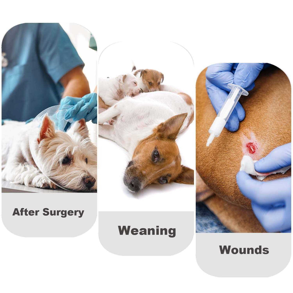 Dog Diapers Sanitary Panties Pet Recovery Suit Z308426