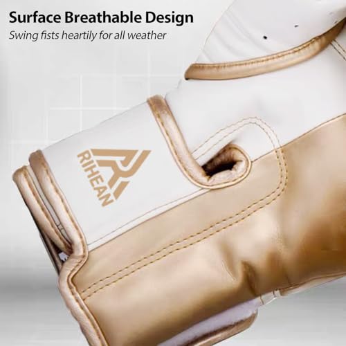 Boxing Training Gloves 10-16oz B625