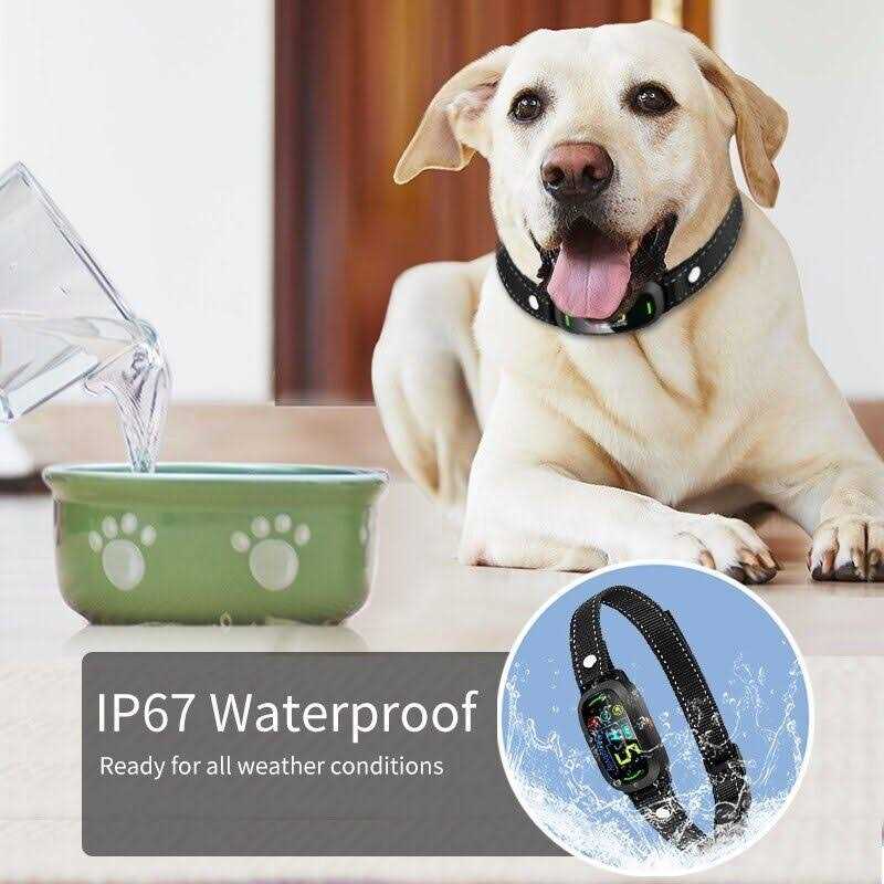 Waterproof Automatic Anti bark Dog Collar J333066