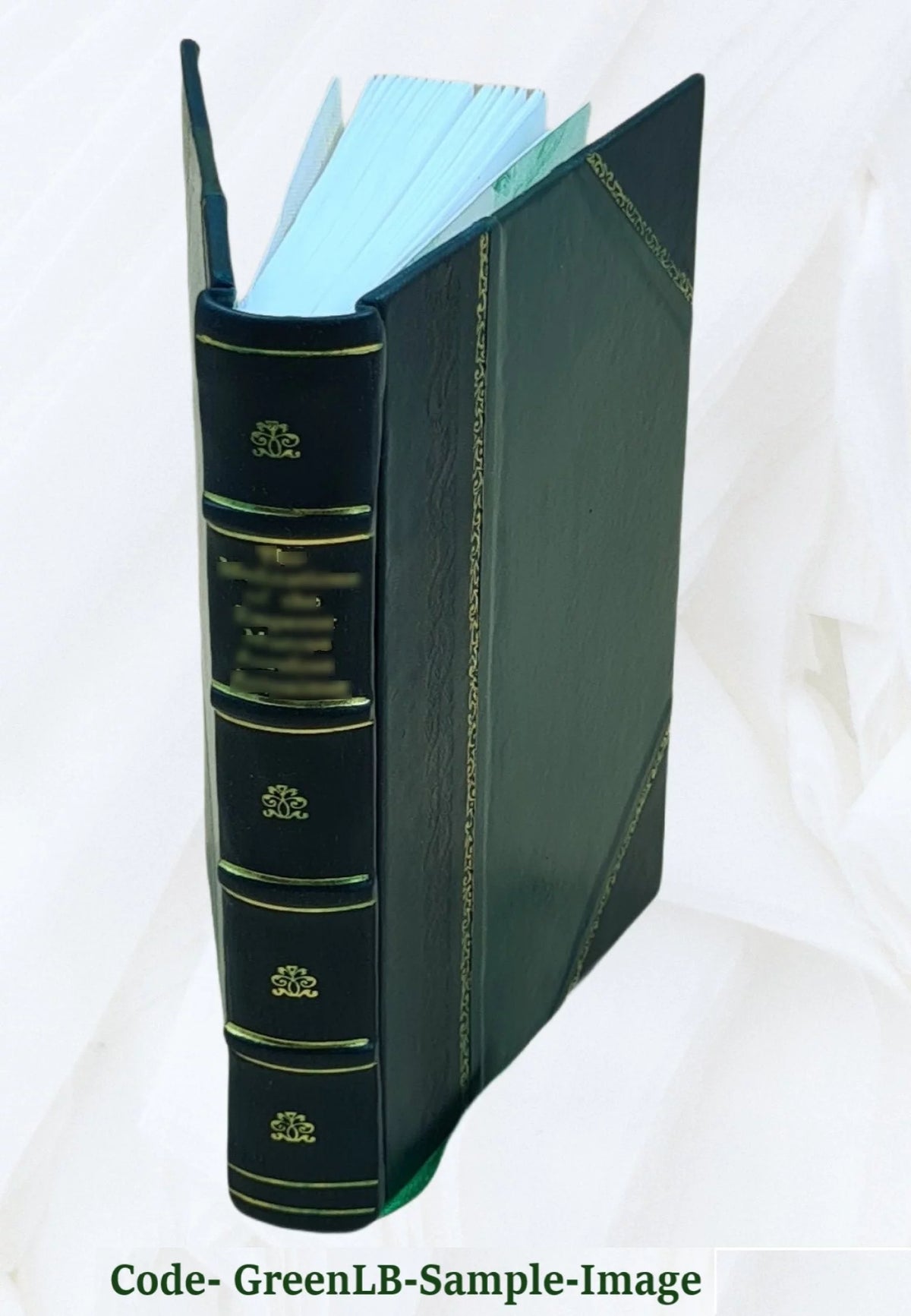 Proskunetárion e perigraphe tes agías póleos Ierousalem kai páses Palaistínes V7935