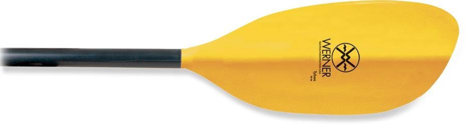 Paddle H42843